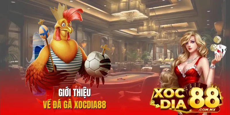 Tổng quan về đá gà tại Xocdia88