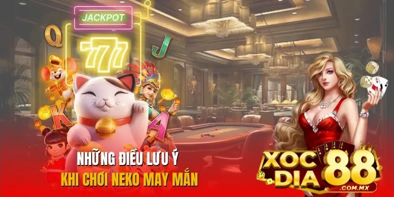 Những điểm cần chú ý khi tham gia Neko may mắn